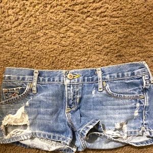 Hollitser hot shorts